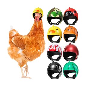 Chicken Helmet Manufacturer - Safety Helmet Funny Bird Hat Headwear Small Pet Costume