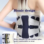 Back Support Belt Supplier - Women Men Lower Back Pain Lumbar Brace