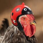 Chicken Helmet Manufacturer - Safety Helmet Funny Bird Hat Headwear Small Pet Costume