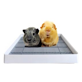 Guinea Pig Litter Box Factory - Training Pan Cage Accessories Toilet Tray Rats Hamster