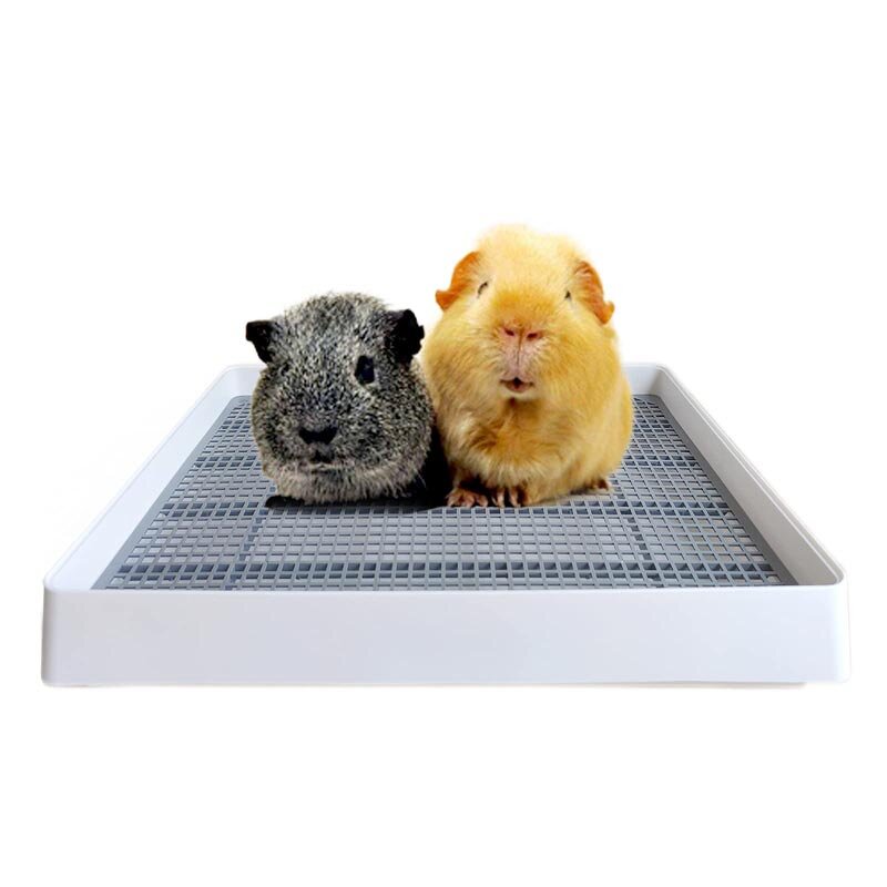 Guinea Pig Litter Box Factory - Training Pan Cage Accessories Toilet Tray Rats Hamster