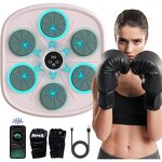 Smart Boxing Machine Manufacturer - Wall Mounted Interactive Music Trainer Fitness