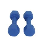 Hex Dumbbell Supplier - Non-Slip Anti-roll Shaped Hand Home Gym Weights Pounds Neoprene