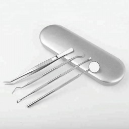 Teeth Cleaning Kit Manufacturer - Portable Stainless Steel Dental