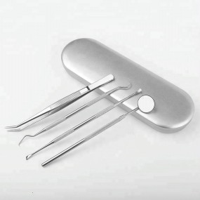 Teeth Cleaning Kit Manufacturer - Portable Stainless Steel Dental