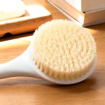 Bath Brush Manufacturer - Long Handle Wood Bristle Body Scrub