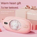 Hot Compress Belt Manufacturer - Palace Instrument Menstruation Care