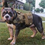 Tactical Dog Harness Manufacturer - 1000D Nylon Laser Cut Molle Quick Release Vest