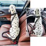 Dog Running Leash Factory - Custom Logo Retractable Reflective Bungee Leash