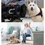 Pet ID Tag Factory - Custom Engraved Stainless Steel Service Dog Tag