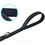 Dog Running Leash Factory - Custom Logo Retractable Reflective Bungee Leash