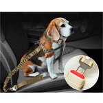 Dog Bungee Leash Supplier - Wholesale Waterproof Durable Retractable Sling Leash