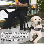 Pet Tag Supplier - Wholesale Medical Alert Stainless Steel Dog ID Tag