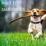 Pet Tag Supplier - Wholesale Medical Alert Stainless Steel Dog ID Tag