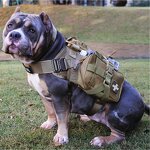 Tactical Dog Harness Manufacturer - 1000D Nylon Laser Cut Molle Quick Release Vest