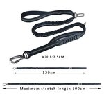 Dog Running Leash Factory - Custom Logo Retractable Reflective Bungee Leash