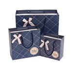 Shopping Paper Bag Supplier - Best Selling Custom Logo Printing Reusable Luxury With Ribbon Handle