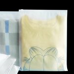 Biodegradable Plastic Bag Manufacturer - Eco Friendly Clear Transparent Zip Lock Packaging Bag