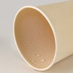 Disposable Paper Cups Supplier - Wins Flying China Biggest Manufacturer Togo Hot PLA Coffee 8oz with Logo