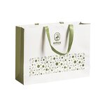 Paper Gift Bag Manufacturer - Wins Flying Multiple Color Printed Flat Handle Big for Gift Shopping