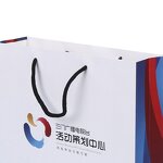 Shoes Paper Bags Manufacturer - Wins Flying Custom Shoes Branded Store Printed with Your Logo