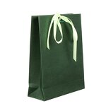 Paper Bags Manufacturer - Wins Flying Wholesale Custom Biodegradable Gift Bags With Logo