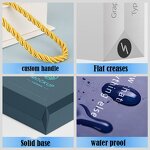 Paper Gift Bag Manufacturer - Wins Flying Multiple Color Printed Flat Handle Big for Gift Shopping