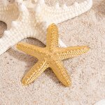 Starfish Brooch Manufacturer - Personalized Luxury 18K Gold Plated Waterproof
