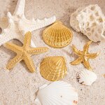 Starfish Brooch Manufacturer - Personalized Luxury 18K Gold Plated Waterproof