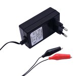 Lithium Battery Charger Manufacturer - CE 12V-42V 0.5A-10A for Li-ion Lead Acid Tool