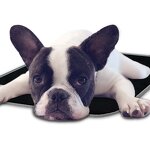 Large Heated Pet Pad Factory - 360 Degree Constant Temperature Health Care Beds Waterproof