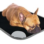 Heated Pet Bed Supplier - Hot Selling Electronic Products for Dog and Cat Small Animal