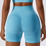 Women Workout Shorts Factory - Hot Sale High Seamless Running Biker Tights