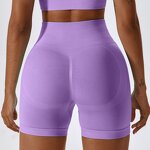 Women Workout Shorts Factory - Hot Sale High Seamless Running Biker Tights