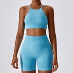 Women Gym Clothes Manufacturer - Wholesale Sports Sets Seamless Fitness Bra Shorts