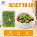 Shirataki Noodles Manufacturer - Hot Selling Low Calorie High Fiber Spinach