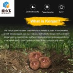 Konjac Spaghetti Manufacturer - Custom Low Carb Low GI Oat Noodles