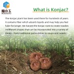 Konjac Knot Manufacturer - Hot Pot Essential Low Calorie Instant