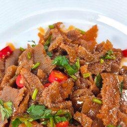 Shirataki Snacks Manufacturer - Wholesale Customized Low Carb Spicy