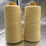 Para Aramid Yarns - Yarn Count 5s-60s Covering with Steel Wire for Gloves
