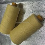 Para Aramid Yarns - Yarn Count 5s-60s Covering with Steel Wire for Gloves