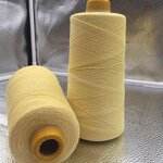 Para Aramid Yarns - Yarn Count 5s-60s Covering with Steel Wire for Gloves