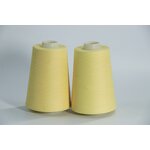Embroidery Thread - High Temperature Resistance 40s Flame Retardant Para Aramid