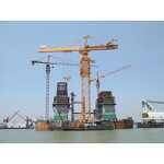 Tower Crane Manufacturer - Zoomlion 16 Ton TC7525-16 Topkit