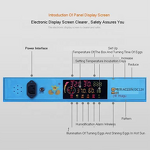 Digital Thermometer Manufacturer - with Humidity Indicator (Hygrometer)