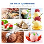Hard Ice Cream Machine Manufacturer - Commercial Automatic Batch Freezer Gelato Maker