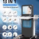 Hydrodermabrasion Machine Manufacturer - Korea Whitening Acne Facial