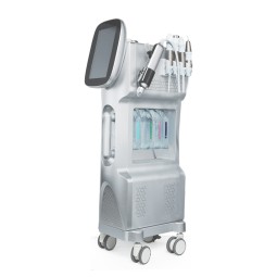 Hair Removal Machine Supplier - Permanent Diode Laser 3 Wavelength