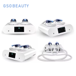 RF Body Sculpting Supplier - Mini Muscle Building Fat Reduction