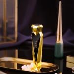 EMS仪器供应商-电动肌肉刺激器减肥